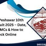 📢BISE Peshawar 10th Class Result 2025 – Date, Time, DMCs & How to Check Online