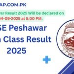 BISE Peshawar HSSC Result 2025 Announced at 500 PM