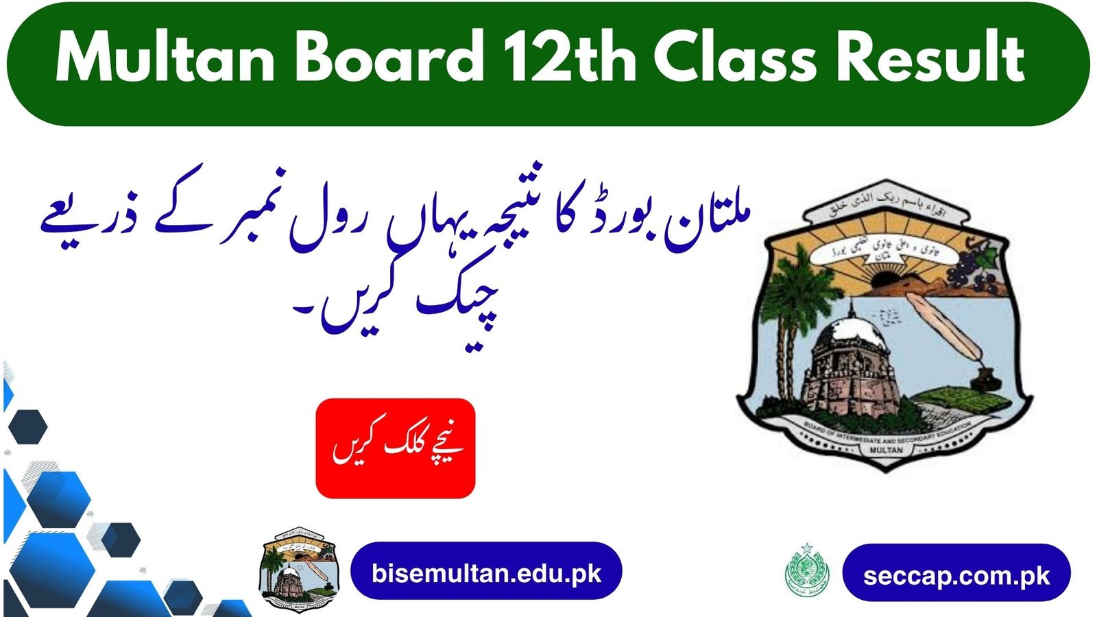 bisemultan.edu.pk